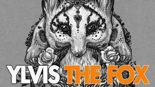 Ylvis - The Fox - noua senzatie muzicala pe Internet (VIDEO)