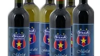 CONCURS ASKMEN - GHICESTE SCORUL MECIULUI SCHALKE 04 - STEAUA