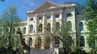 Muzeele din Bucuresti se redeschid