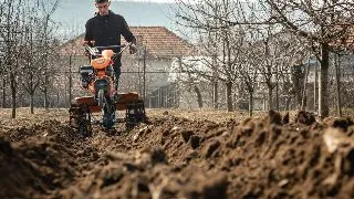 Vrei sa te apuci de agricultura? Iata care sunt aspectele de care sa tii cont
