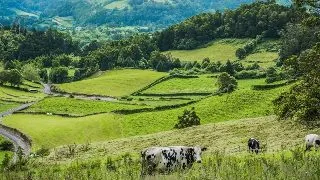 Arta deconectarii: cum sa iti recapeti energia prin experiente care conteaza