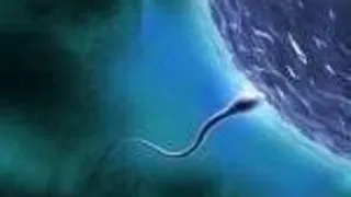 33% din romani au probleme de erectie