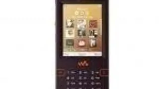 W950 Sony Ericsson