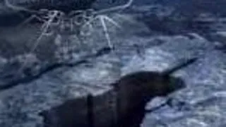 Apocalyptica sarbatoresc zece ani si canta luna viitoare in Romania