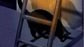 Top superstitii de weekend (II)
