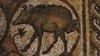Mistretul (Sus Scrofa L.)