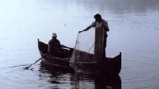 Pescuitul cu cianura, atac asupra ecosistemului