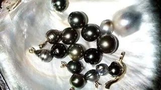 Durerea produce perle