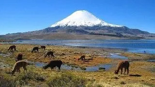 Calatorie in America de Sud