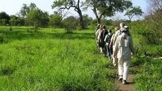 Iti dorim: safari placut!