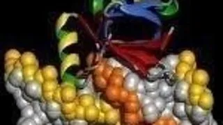 Proteinele: Cateva cuvinte despre proteina