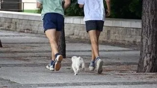 Run, Forest, run!