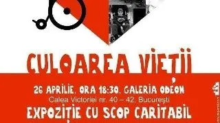 Culoarea vietii: Copiii lupta prin arta cu distrofiile musculare - Ajuta-i si tu!
