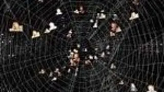 Lansarea afacerii pe Internet