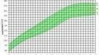 Ce se va intampla cu economia romana in 2006?