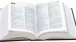 Raportul de audit