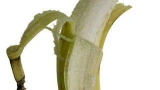 Viata unui penis