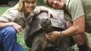 Steve Irwin, "Vanatorul de crocodili", a decedat