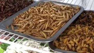 Cele mai dezgustatoare mancaruri