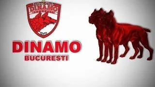 A venit randul lui Dinamo! Cainii dati si ei afara din Stefan cel Mare?