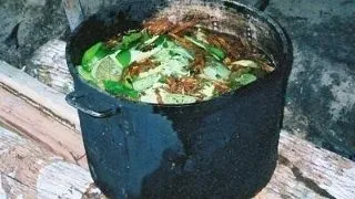 Cele mai ciudate droguri din lume