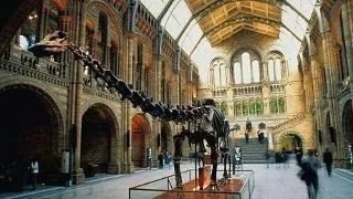 7 Cele mai tari obiective turistice din Londra