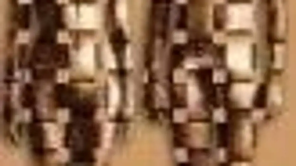 1/1166