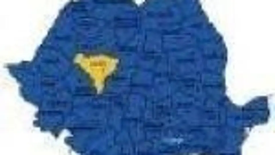 6/6541