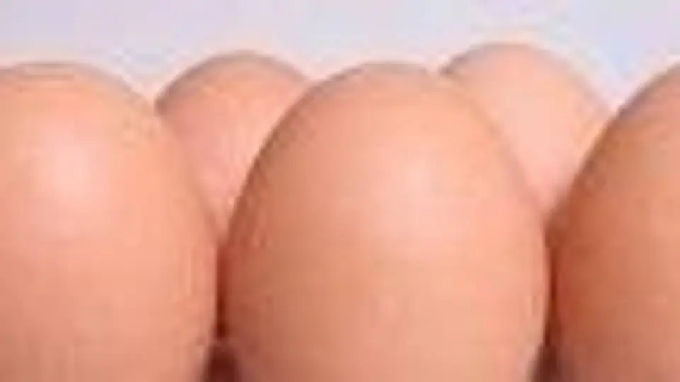 6/6942