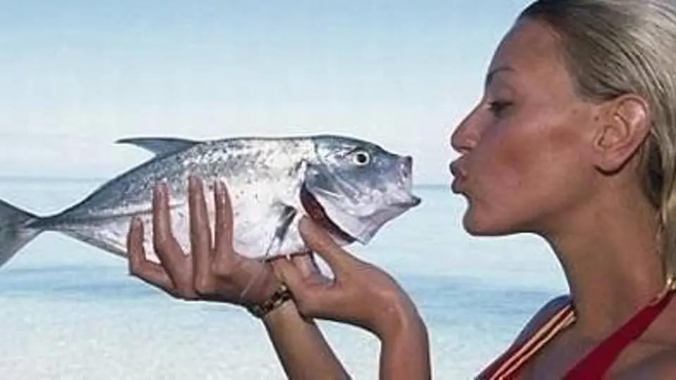 7/7206