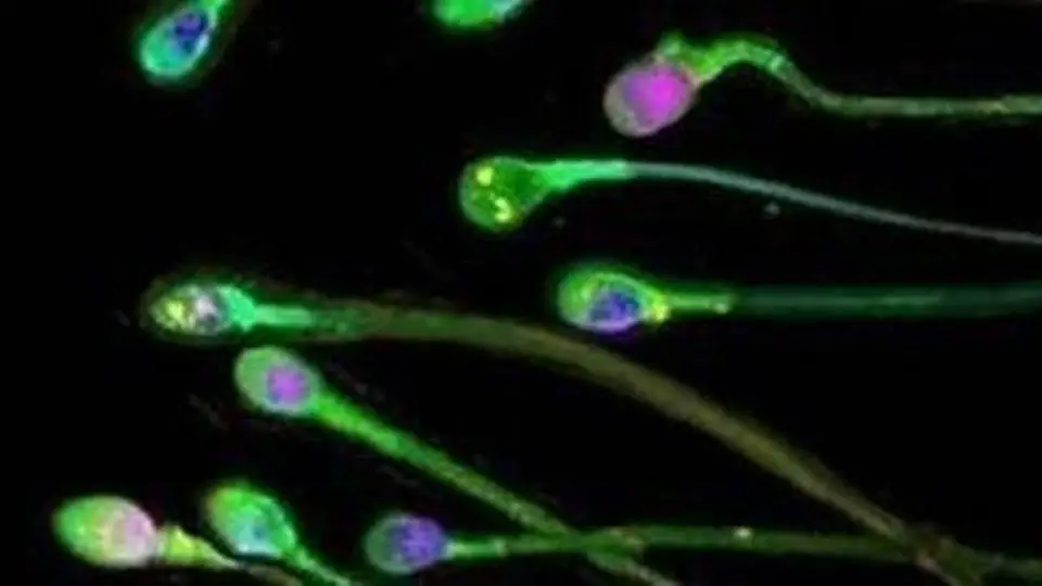 7/7243