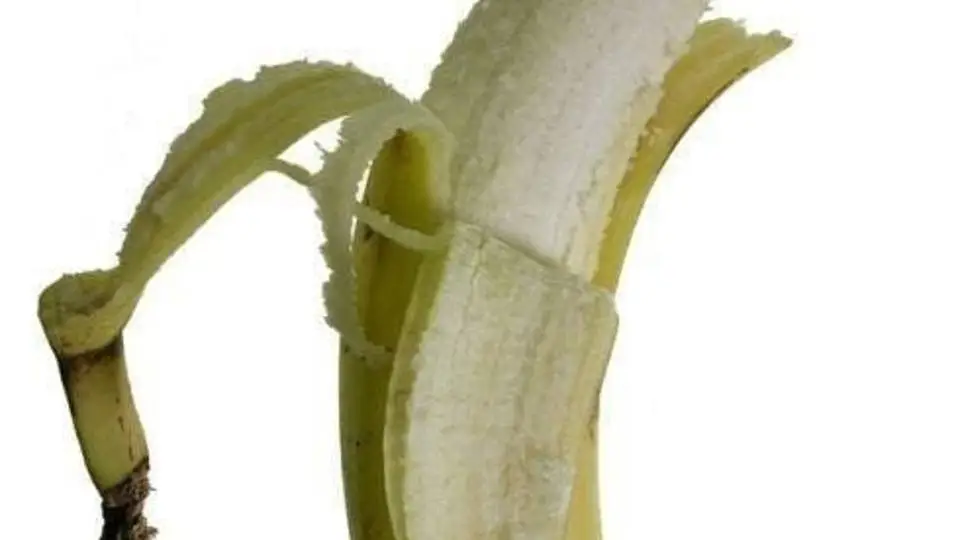 8/8516