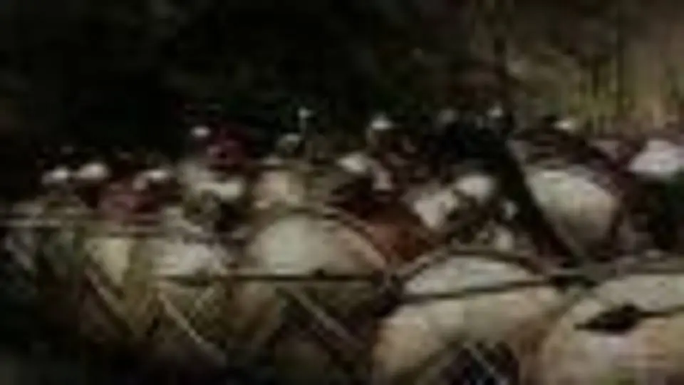 8/8775