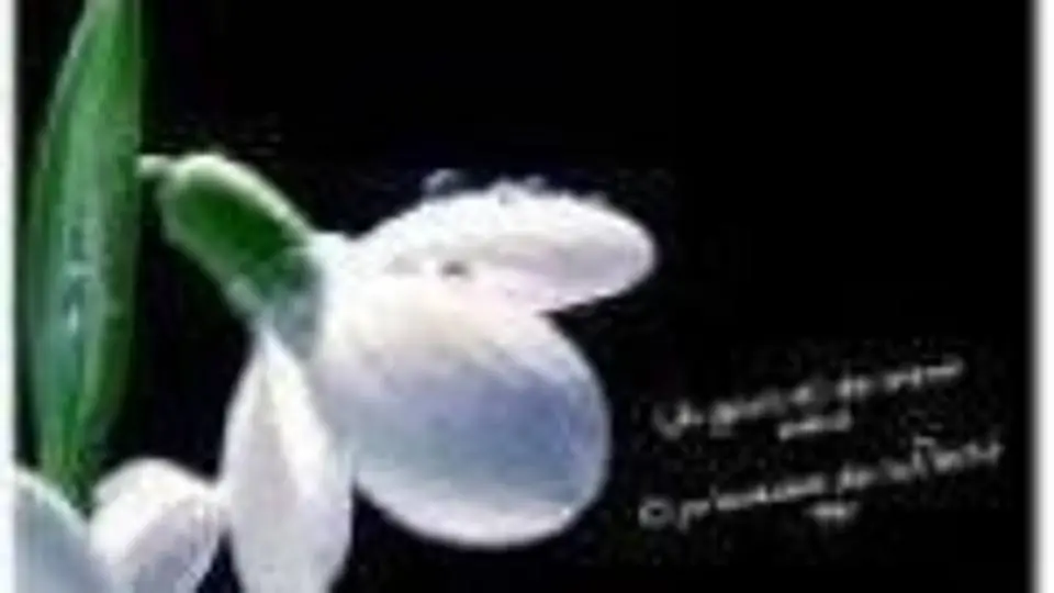 8/881