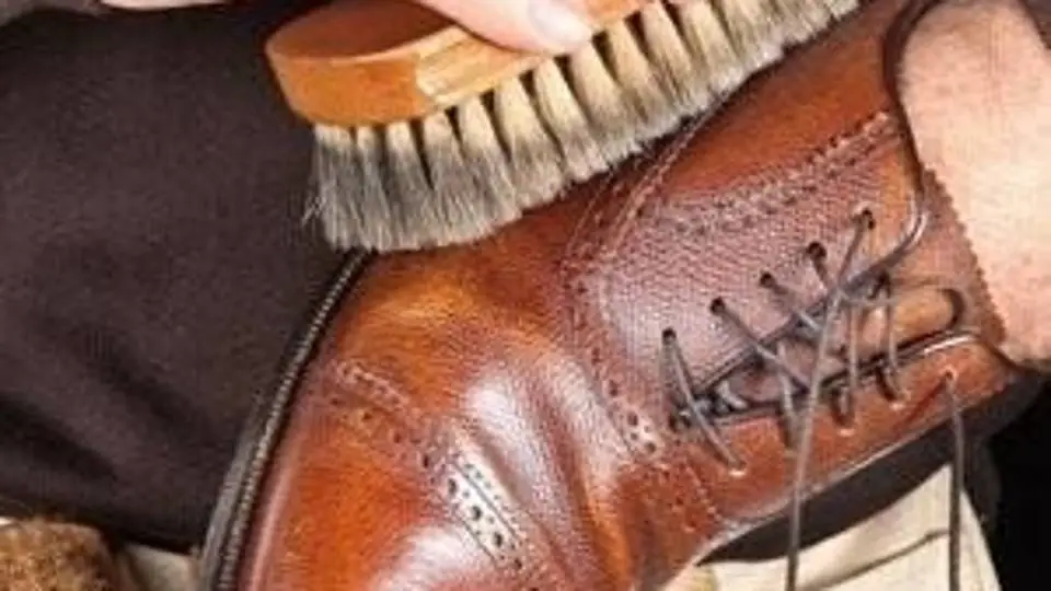 9/9769